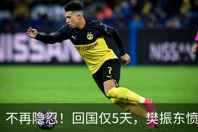 不再隐忍！回国仅5天，樊振东愤怒发声，原来刘国梁的担忧是真的